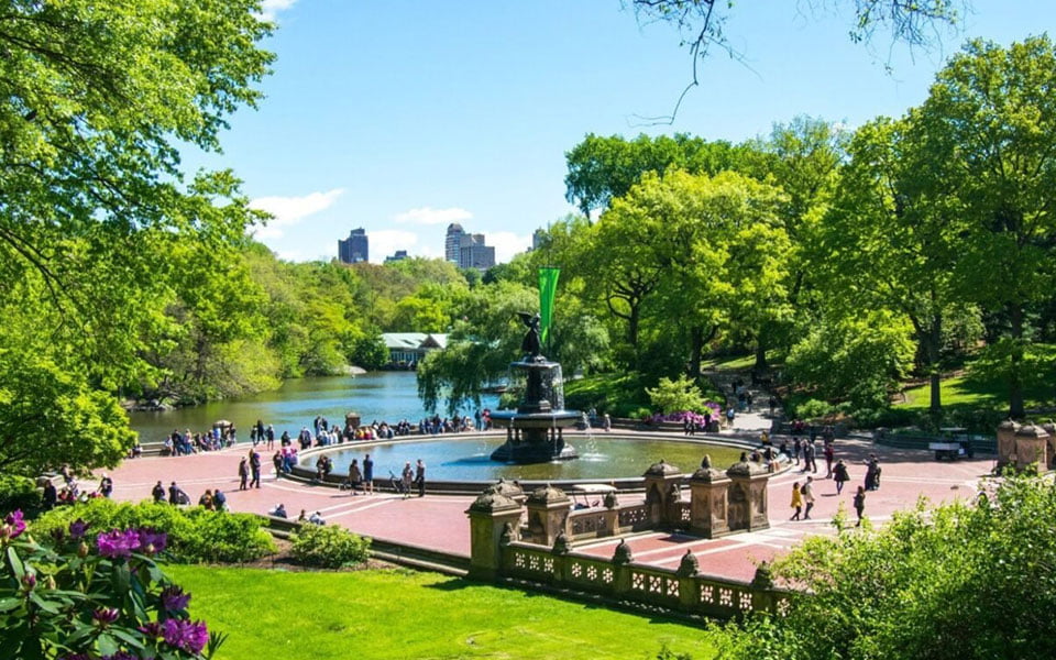 منظمة "سنترال بارك كونسرفانسي" (Central Park Conservancy) لحفظ الموارد الطبيعية