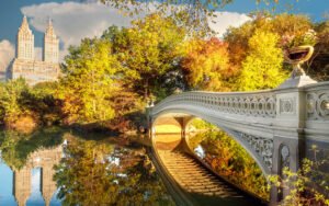 5 أنشطة يجب أن تجربها في خريف نيويورك لهذا العام