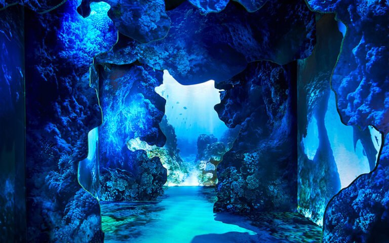 اكتشف “أركاديا إيرث” (Arcadia Earth)