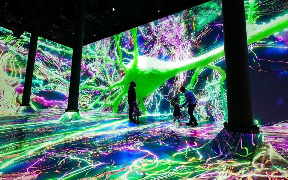 هل جربت التجوّل بين الخلايا العصبية؟ يركز معرض جديد غامر في ARTECHOUSE على الخلايا العصبية