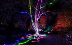 موسم المهرجانات الضوئية في نيويورك 2022