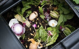 تعرفوا على ثورة الاستدامة عبر التسميد في "بروكلين"