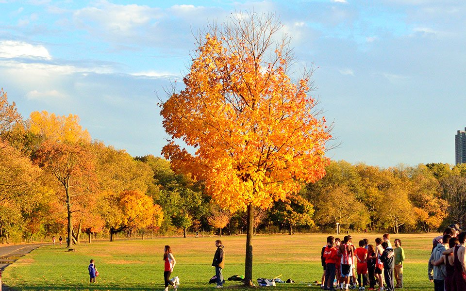 استمتع بجمال الخريف في منتزهات نيويورك الجزء الثاني