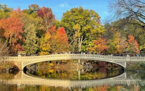 استمتع بجمال الخريف في منتزهات نيويورك الجزء الأول