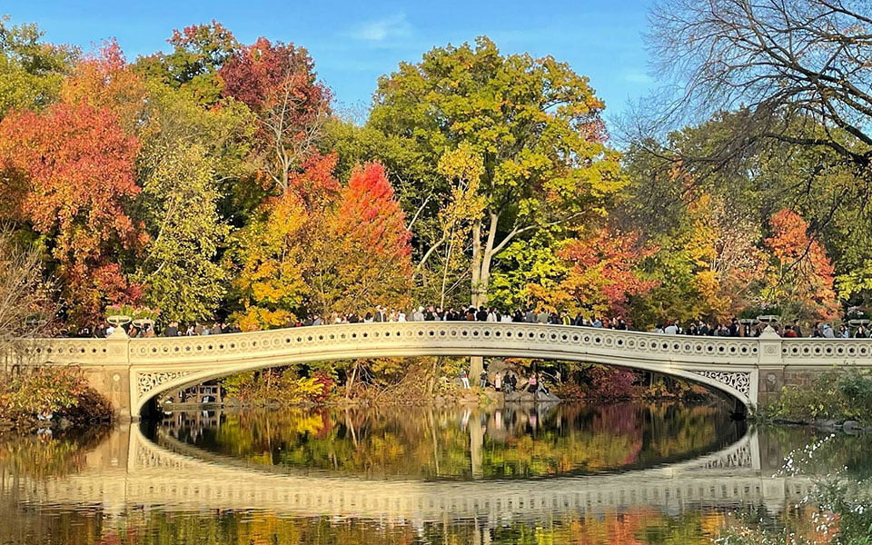 استمتع بجمال الخريف في منتزهات نيويورك الجزء الأول